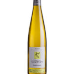 Pinot Blanc 2024 Bio sec